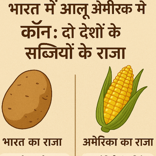 भारत में आलू और अमेरिका में कॉर्न